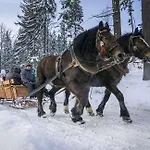 Bacowka Polanki - Z Balia *
