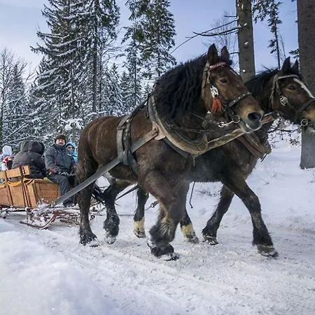Bacowka Polanki - Z Balia *